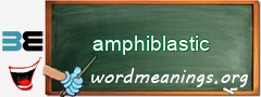 WordMeaning blackboard for amphiblastic